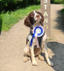 Puppy School Lancaster