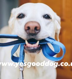 Yes! Good Dog Community Hub