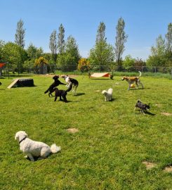 West Burton Kennels