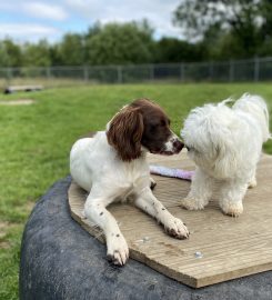 West Burton Kennels