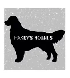 Harry’s Hounds