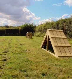 Paw Paddock Basingstoke