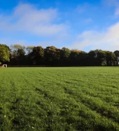 Paw Paddock Moundsmere