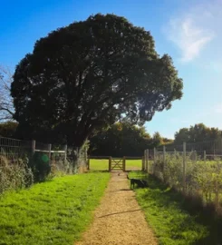 Paw Paddock Westbourne