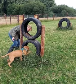 Braunston Secure Dog Walking Field