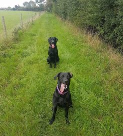 Animals at Home West Oxfordshire