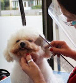 Doggystyle-Grooming