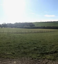 Braunston Secure Dog Walking Field