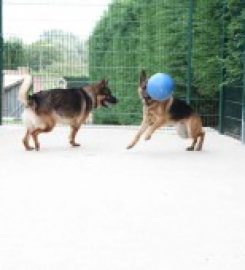 Highcroft Luxary Boarding Kennels and Cattery