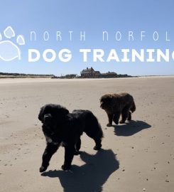 North Norfolk Dog Training