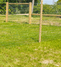 Coton Secure Dog Field