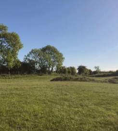 Walkington Secure Dog Walking Field