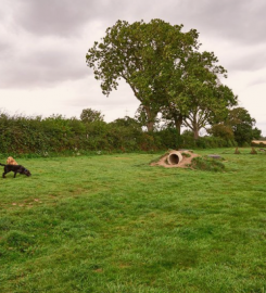 Walkington Secure Dog Walking Field