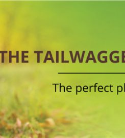 THE TAILWAGGERS