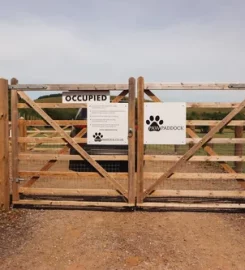 Paw Paddock East Meon