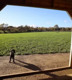 Paw Paddock Ashington