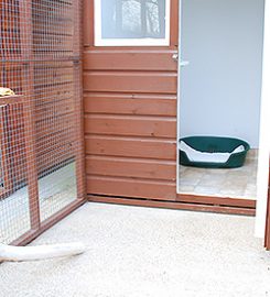 Carlton Cattery