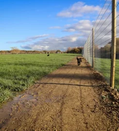 Paw Paddock Ashington