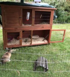 Bray Bunny Boarding