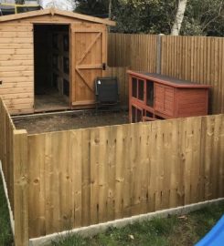 Rabbits of Berkshire