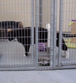 HEATHROW BOARDING KENNELS AND CATTERY