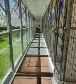 Heath Farm Cattery