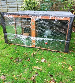 Bunny Garden Paradise