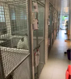 High Heath Farm Cattery