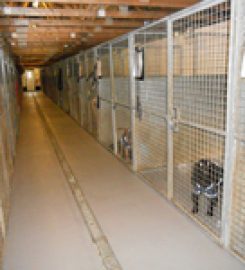 HEATHROW BOARDING KENNELS AND CATTERY