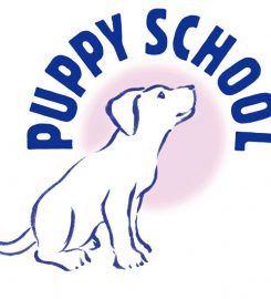 Puppy School Gloucester