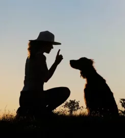 Pawsitive Puppy School