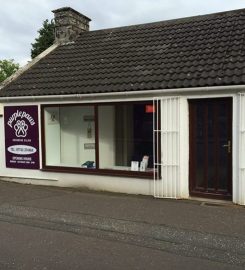 Purple Paws Grooming Salon