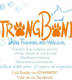 Strong Bonds Dog Training and Walking