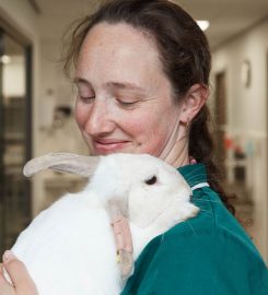 Arbury Road Vets