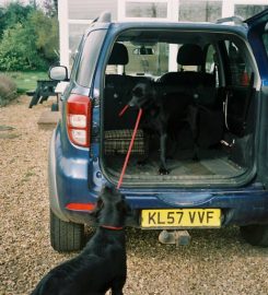 Sunrise Boarding Kennels