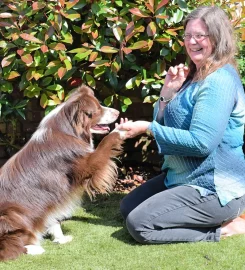 Cloverleaf Canine Centre