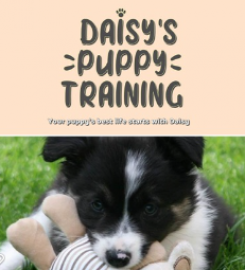 Daisy's Puppy Training