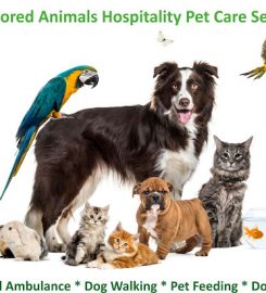 Adored Animals Hospitality