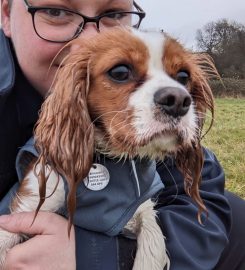 Bolsover Bark & Ride