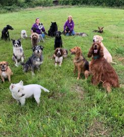 Doggy Doos Dog Day Care & Grooming