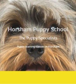 Horsham Puppy School