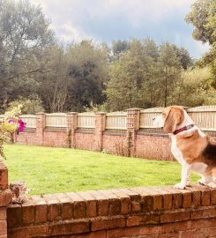 Mill House – Luxury Dog Boarding & Salon