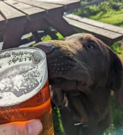 Horsham Puppy School