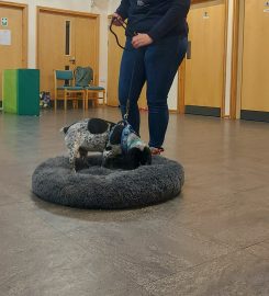 Horsham Puppy School