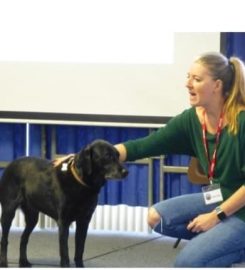 Katie Brill Positive Dog Training