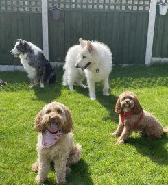 Worcester Woofers B&B