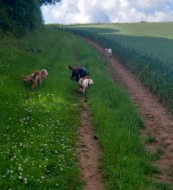 Bolsover Bark & Ride