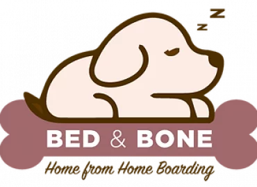 Bed and Bone Dog Home Boarding