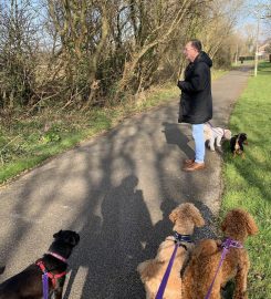 Happy Walkies on the Wirral