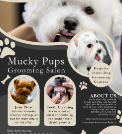 Mucky Pups Grooming School and Salon